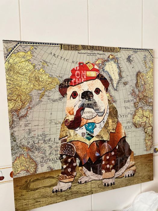 Quando tela Buldogue