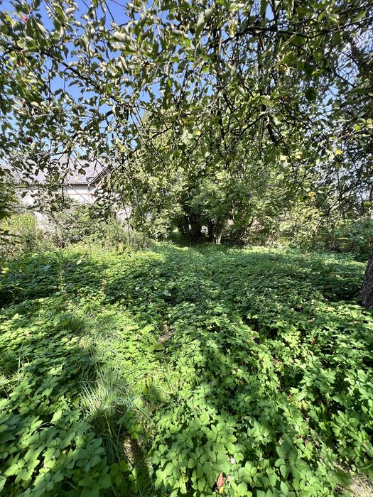 Продаж будинку 59соток поблизу Городка