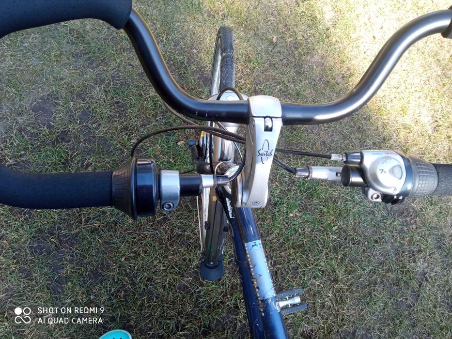 Rower męski Gazelle Davos koła 28