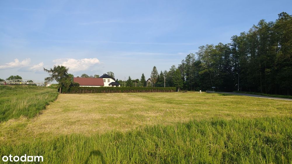 Działka INWESTYCYJNA od południowej obwodnicy Krakowa - Widok 2