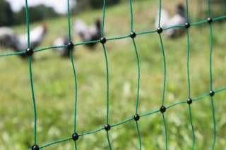 Siatka elektryczna dla drobiu Premium,Siatka drobiowa elektryczna