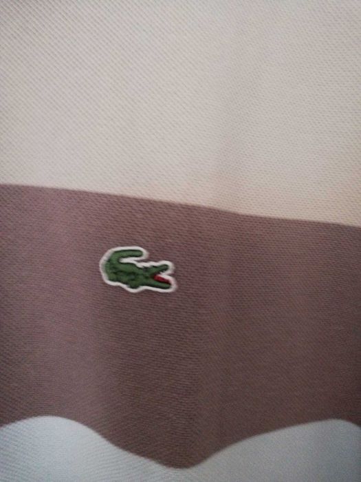 Camisa Polo Lacoste, de manga comprida  M