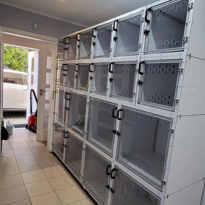 Klatki weterynaryjne – realizacje w klinikach | producent
