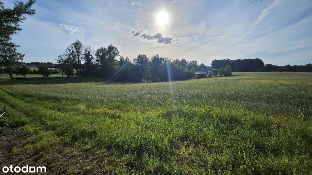 Działki budowlane blisko jeziora Dobrogoszcz - Widok 5