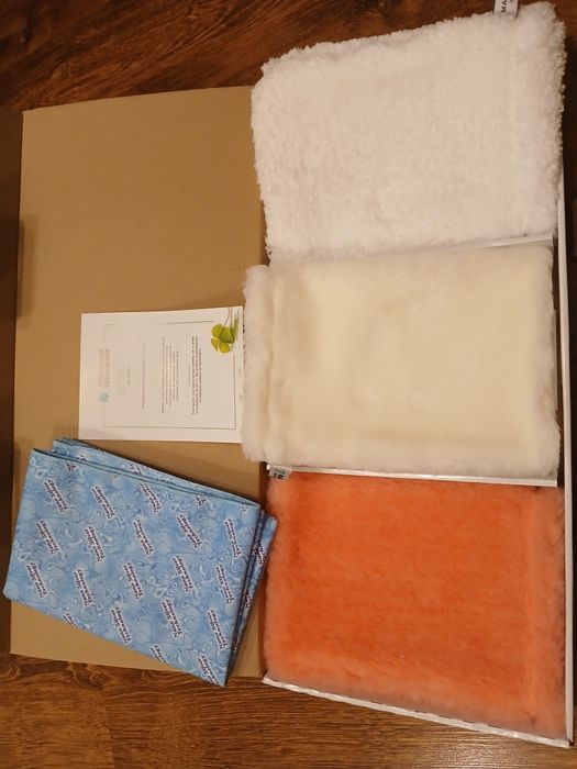 RAYPATH CAR SET Samochodowy zestaw do czyszczenia auta bez chemii