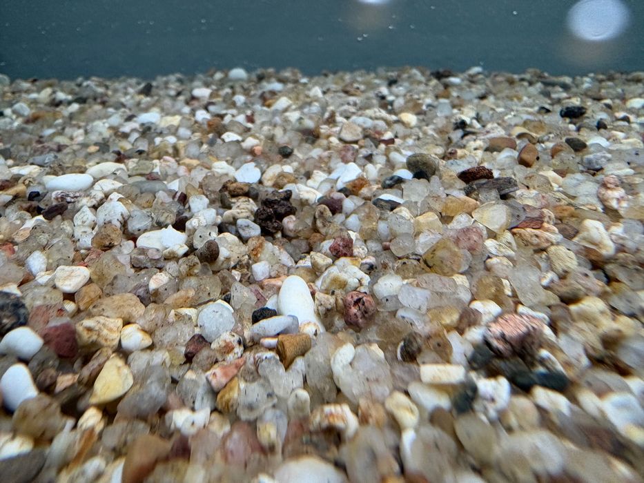 Areia para aquário troca por kinguios ou Carpas