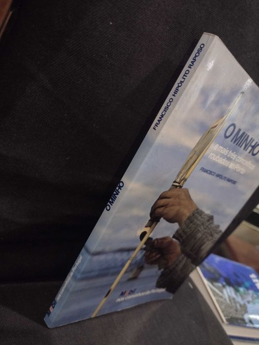 O Minho: e mais três concelhos roubados ao Porto - Francisco H. Raposo