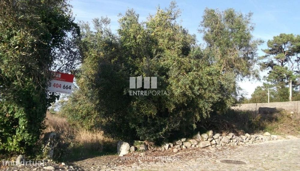 Terreno para venda, Moledo, Caminha — Moledo E Cristelo, Viana do Castelo