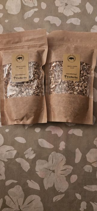 Mniszek lekarski ziele