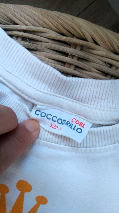 koszulka coccodrillo 122 bez rękawków