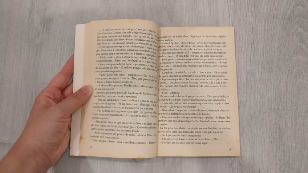 Os Cinco e as jóias roubadas de Enid Blyton