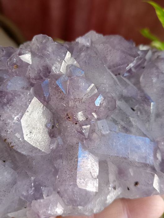 Друза аметисту, Бразилія