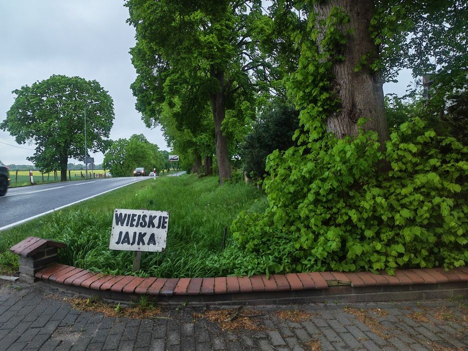 Działki  budowlane na sprzedaż Międzychód