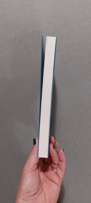 Na Pista de um Rapto, de Harlan Coben