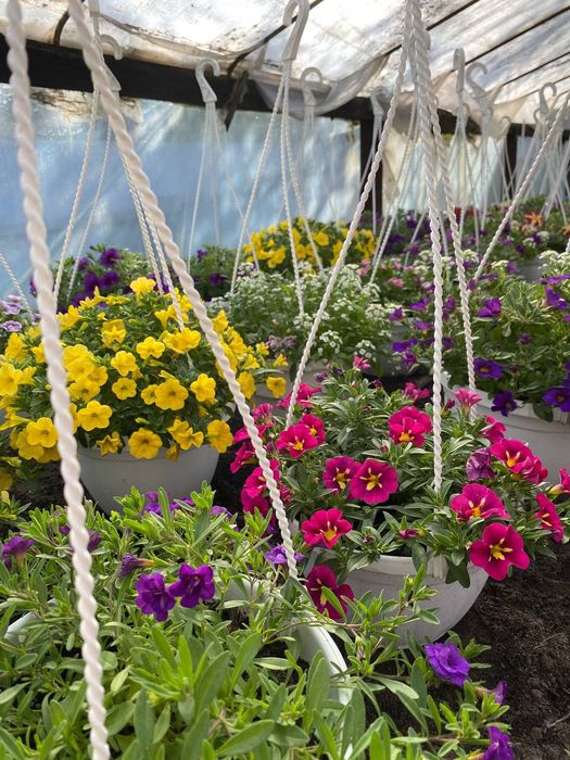 Интерьер для сада