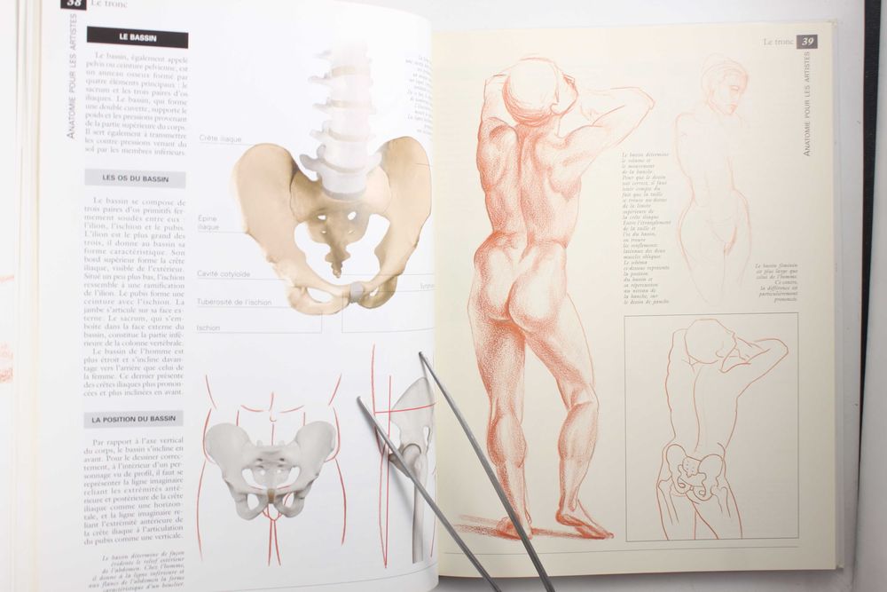 Manuel de L'Anatomie artistique > praca zbiorowa