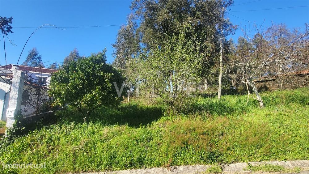Terreno  Venda em Préstimo e Macieira de Alcoba,Águeda