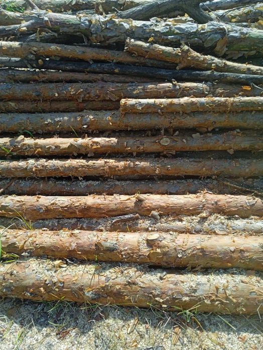 Дрова сосна ,  дуб , вільха