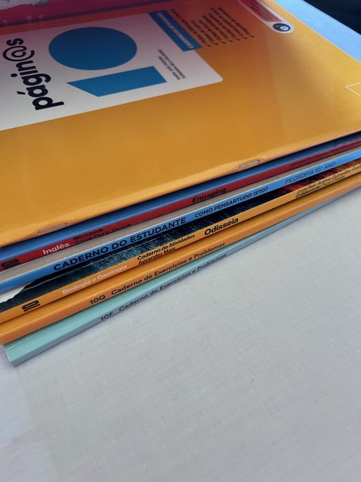 cadernos de atividades 10°ano