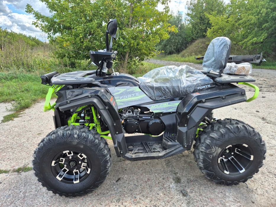 Квадроцикл Forte 250 AFC доставка бесплатная