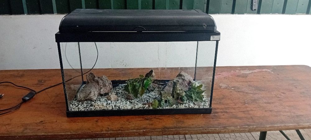 Aquário Aquatlantis 60 + oferta de acessórios