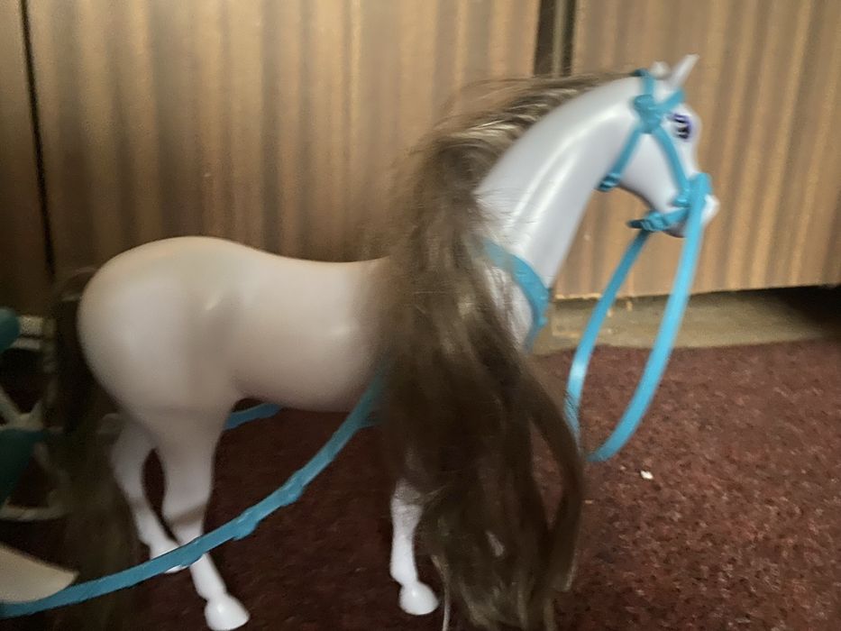 Karoca z ksiezniczka