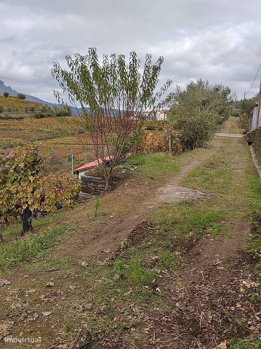 Terreno  para venda