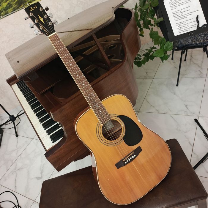 акустика Cort ad880