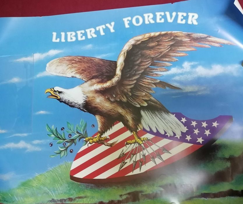 Poster USA Liberty 69 cm por 100 cm