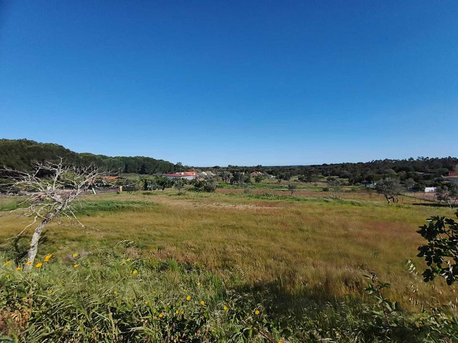 Terreno com Armazém Canha