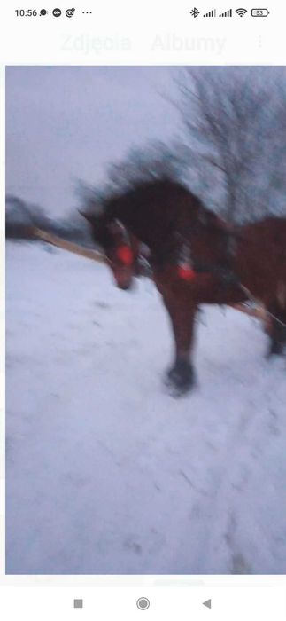 Dla kazdego cos dobrego