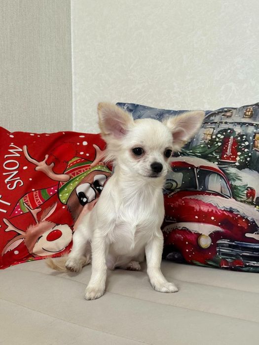 Дуже гана дитина