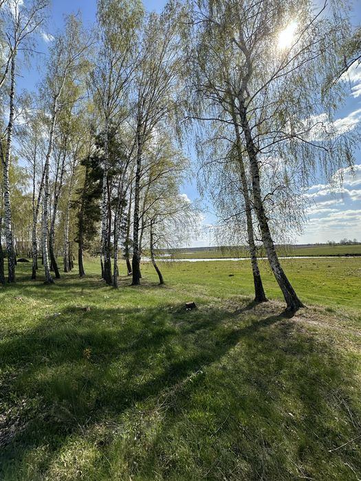 Дача в Сосонці біля річки Десенка