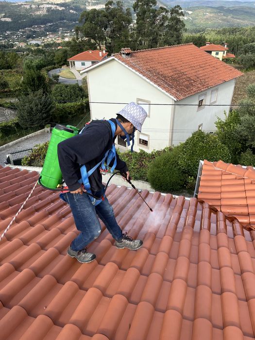 Lavagem e manutençao de telhados