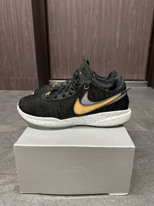 Баскетбольні кросівки Nike Lebron XX (20) Fab 5