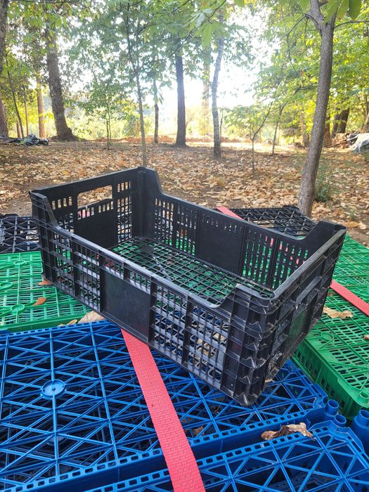 Caixas plásticas frutas e legumes