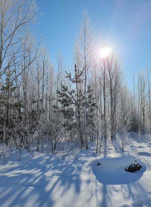 Продаж ділянки 12 соток для будівництва. В оточенні лісу. ТОРГ! ID:661