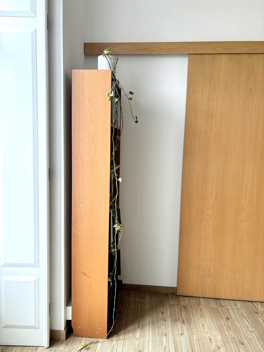 2 Estantes altas | 30€