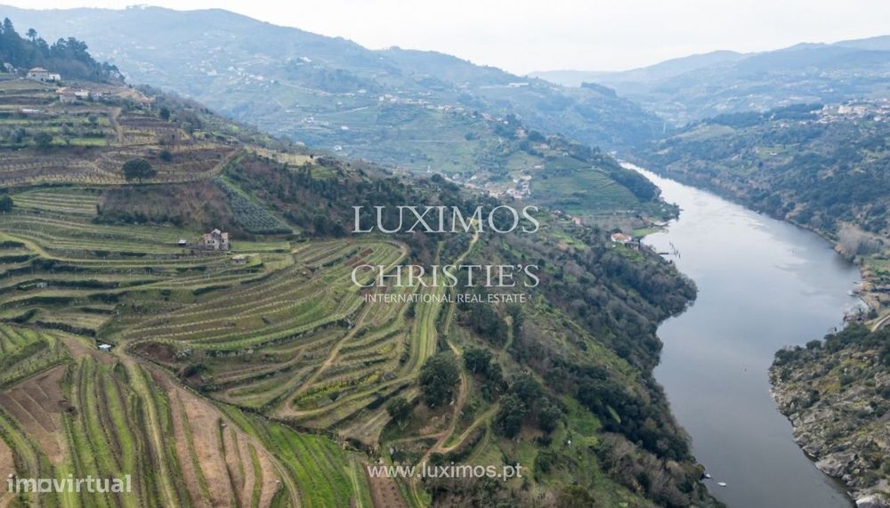 Fantástica quinta à venda no Douro Valley, Resende