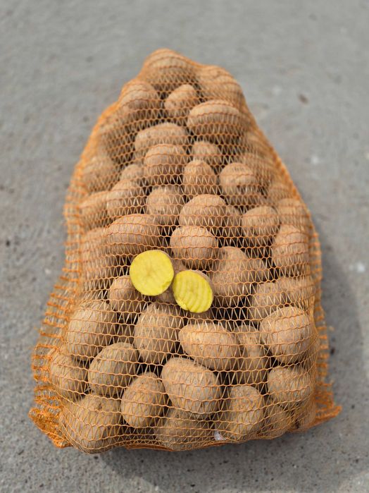 Ziemniaki Gala 1zł/kg smaczne pyszne