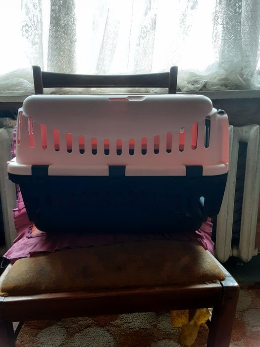 Переноска для котов