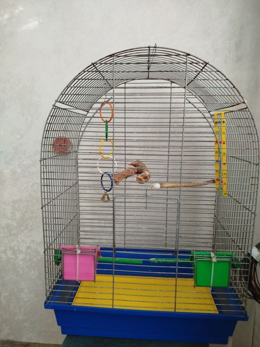 клітка для папуги