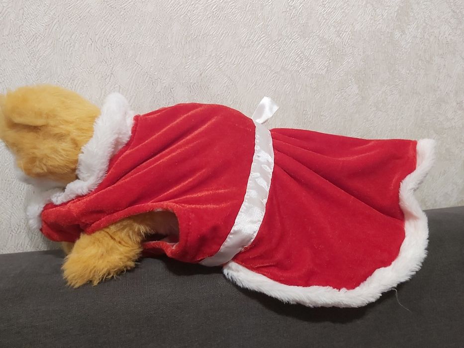 Костюм Санти на собачку, кошку