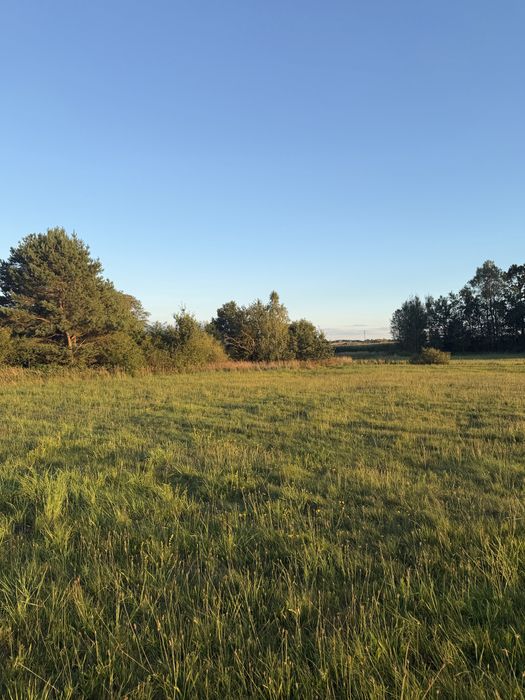 Działki budowlane na sprzedaż Chełmce (gmina Strawczyn)