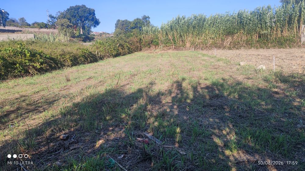 Terreno em Frossos ,albergaria a velha