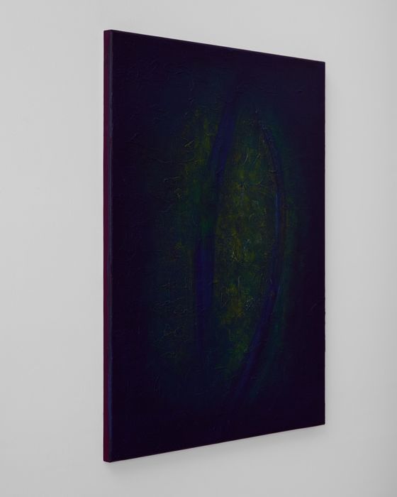 Obraz akrylowy 50x70cm