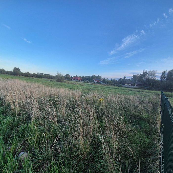Rzakta | bezpośrednio działka budowlana 1000 m² WZ na dom | wodociąg | prąd REZERWACJA - Widok 5
