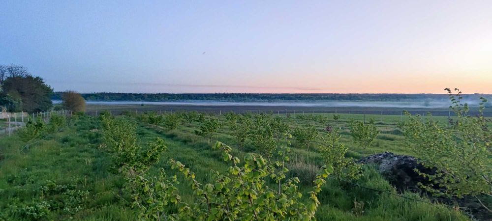 Земельна ділянка для ведення ОСГ з інфраструктурою