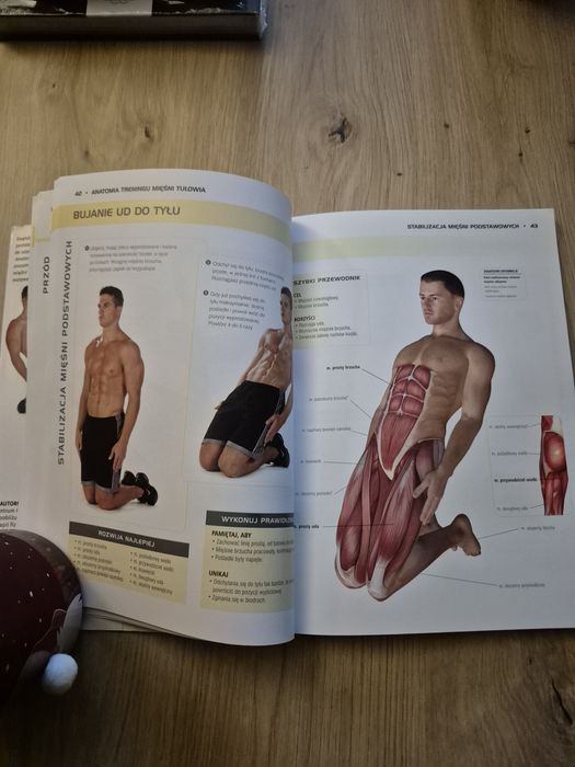 Anatomia treningu mięśni tułowia