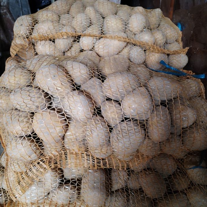 Sprzedam ziemniaki soraja i gala